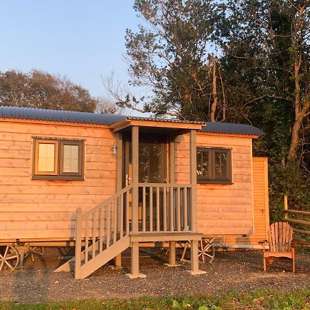 Lle Mary - Beautiful Views, Hot Tub, Secluded, Dog Welcome, Barmouth Llanddwywe 外观 照片