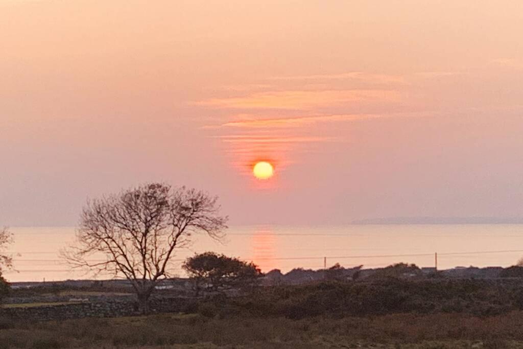 Lle Mary - Beautiful Views, Hot Tub, Secluded, Dog Welcome, Barmouth Llanddwywe 外观 照片