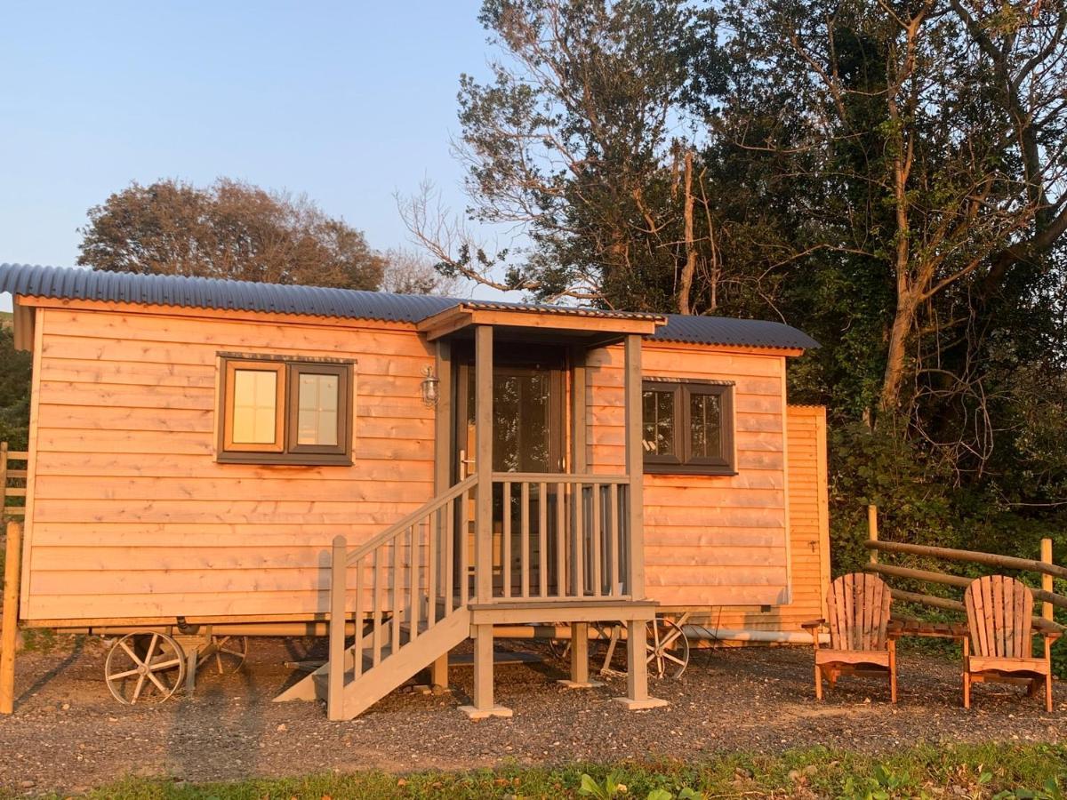 Lle Mary - Beautiful Views, Hot Tub, Secluded, Dog Welcome, Barmouth Llanddwywe 外观 照片