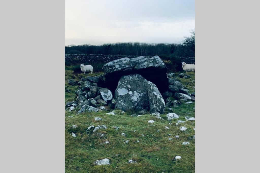 Lle Mary - Beautiful Views, Hot Tub, Secluded, Dog Welcome, Barmouth Llanddwywe 外观 照片