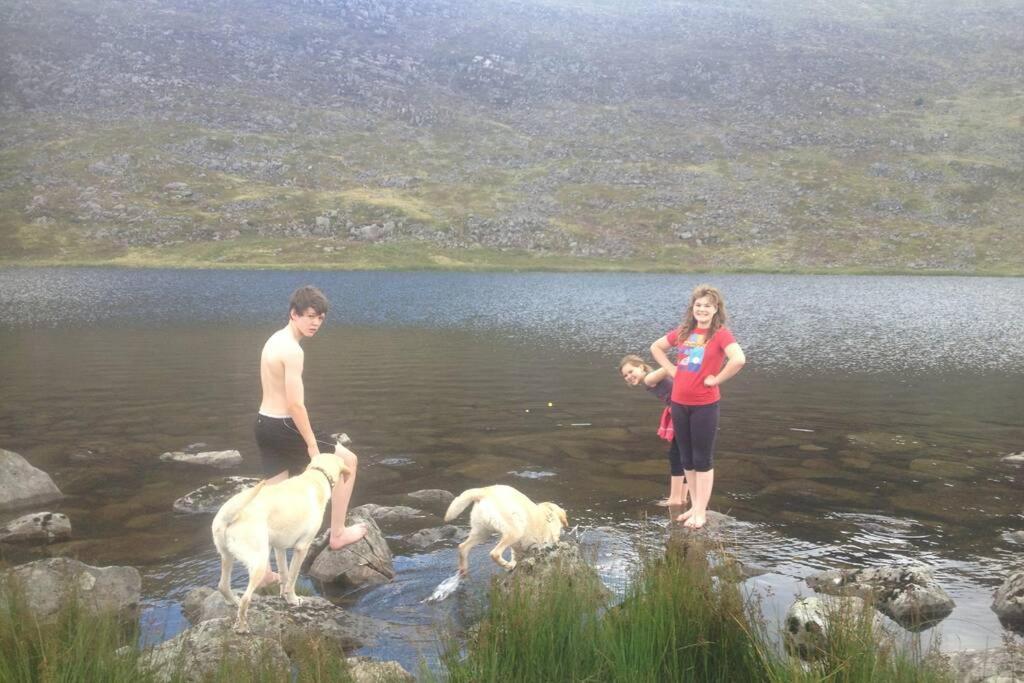 Lle Mary - Beautiful Views, Hot Tub, Secluded, Dog Welcome, Barmouth Llanddwywe 外观 照片