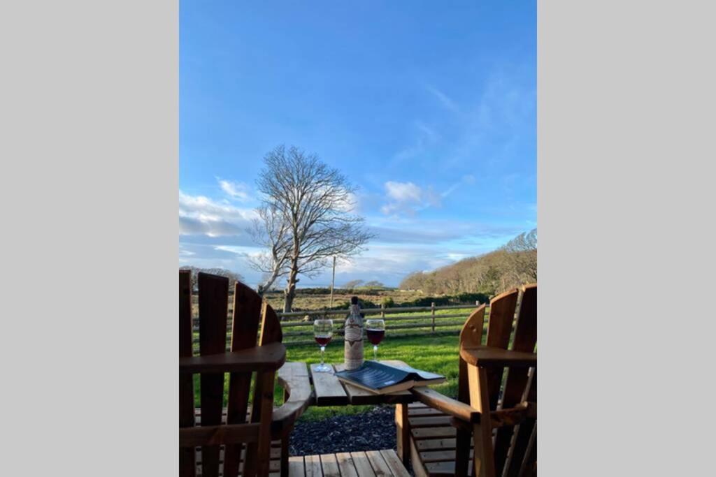 Lle Mary - Beautiful Views, Hot Tub, Secluded, Dog Welcome, Barmouth Llanddwywe 外观 照片