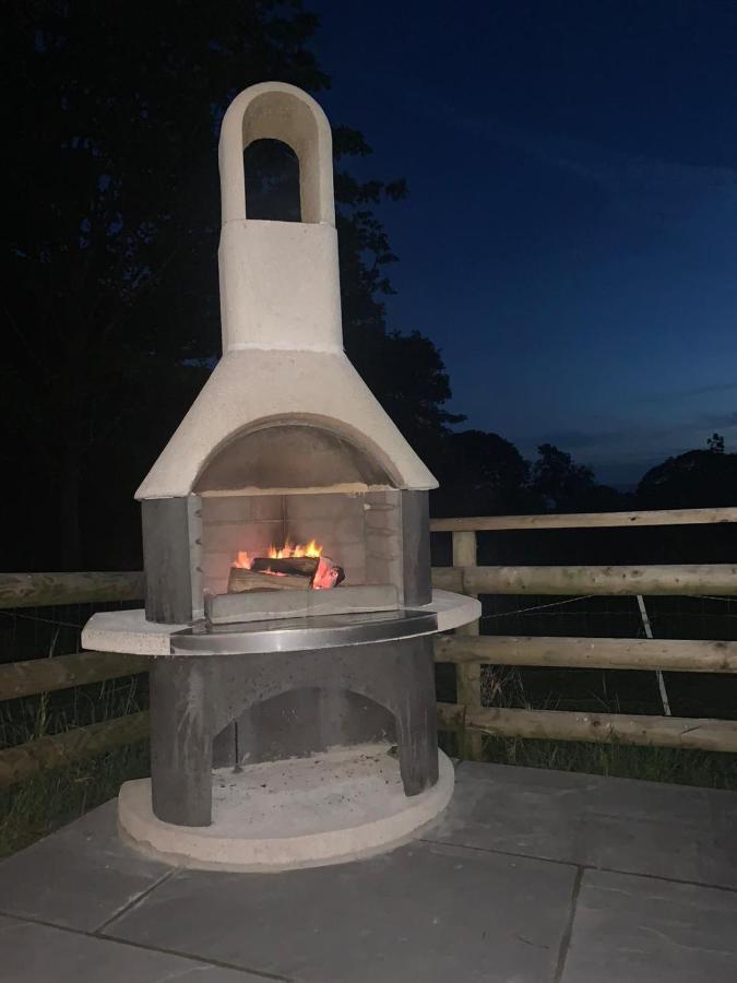 Lle Mary - Beautiful Views, Hot Tub, Secluded, Dog Welcome, Barmouth Llanddwywe 外观 照片