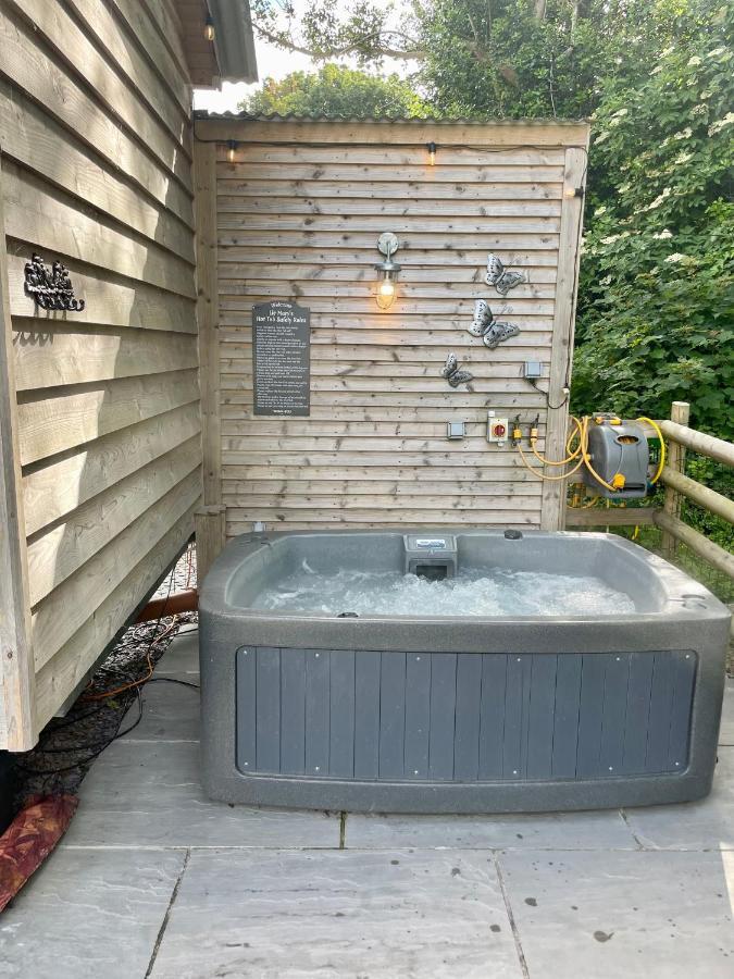 Lle Mary - Beautiful Views, Hot Tub, Secluded, Dog Welcome, Barmouth Llanddwywe 外观 照片